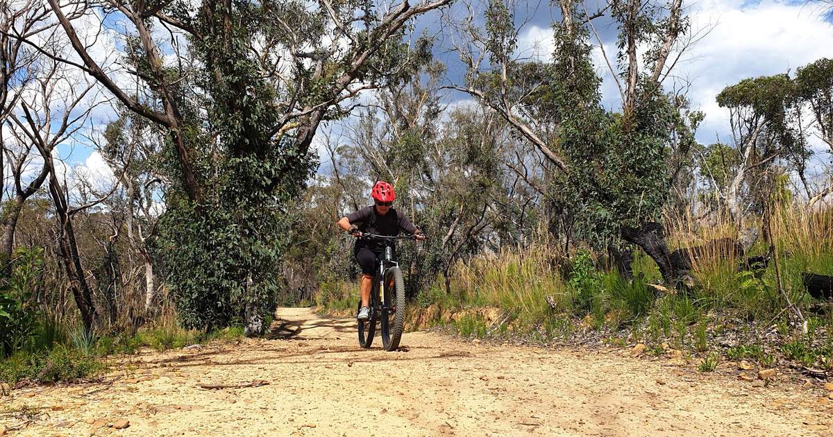 Blue mountains downhill mountain biking online